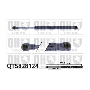 QTS828124 QUINTON HAZELL