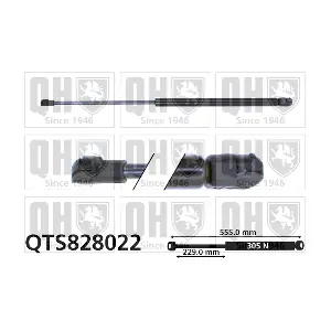QTS828022 QUINTON HAZELL