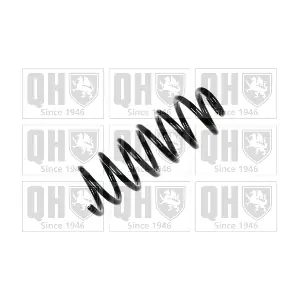 QUINTON HAZELL QCS6406