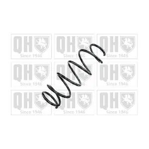 QCS8753 QUINTON HAZELL