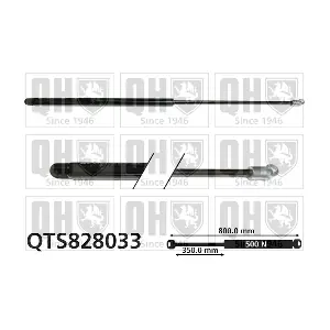 QUINTON HAZELL QTS828033
