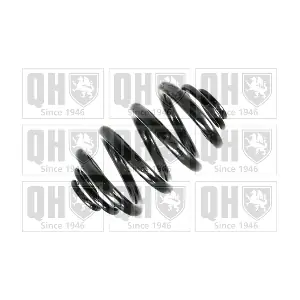 QCS6689 QUINTON HAZELL