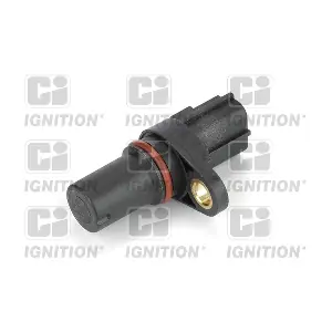 QUINTON HAZELL XREV544