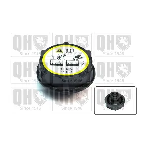 QUINTON HAZELL FC528
