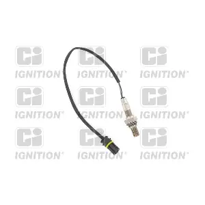 QUINTON HAZELL XLOS1187