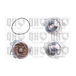 QUINTON HAZELL QCP3366