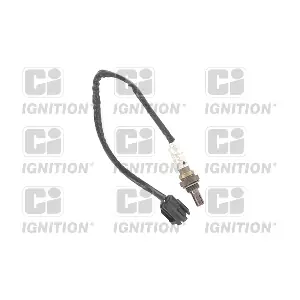 QUINTON HAZELL XLOS1533