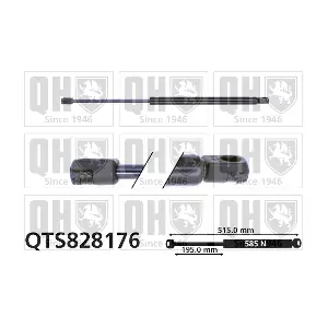 QTS828176 QUINTON HAZELL