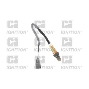 XLOS1596 QUINTON HAZELL