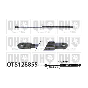 QTS128855 QUINTON HAZELL