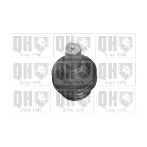 QUINTON HAZELL QSJ3467S