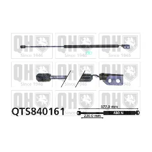 QTS840161 QUINTON HAZELL