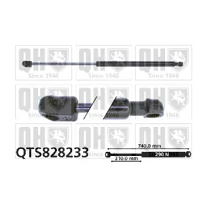 QTS828233 QUINTON HAZELL