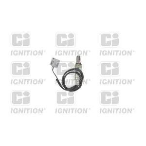 XLOS1557 QUINTON HAZELL