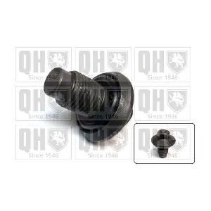 QUINTON HAZELL QOC1024