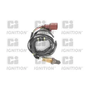 XLOS1828 QUINTON HAZELL