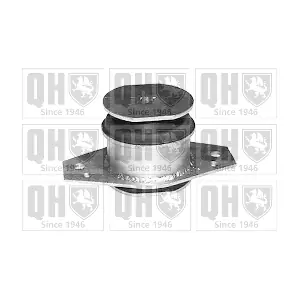 QUINTON HAZELL EM4054