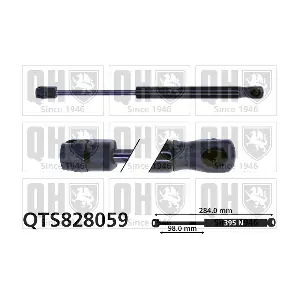 QTS828059 QUINTON HAZELL