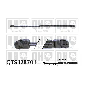 QTS128701 QUINTON HAZELL