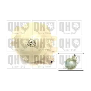 QVE569 QUINTON HAZELL