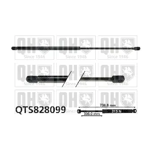 QTS828099 QUINTON HAZELL
