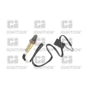 XLOS1524 QUINTON HAZELL