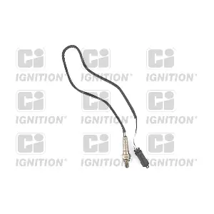 XLOS1651 QUINTON HAZELL