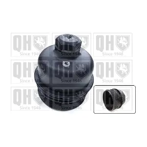QUINTON HAZELL QOC1008