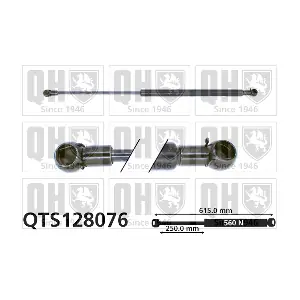 QUINTON HAZELL QTS128076