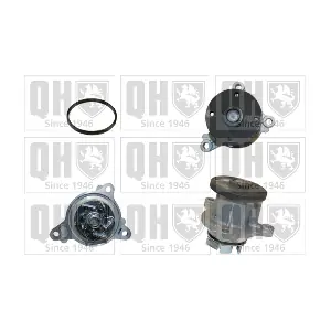 QUINTON HAZELL QCP3781