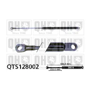 QTS128002 QUINTON HAZELL