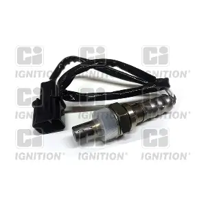 XLOS1522 QUINTON HAZELL
