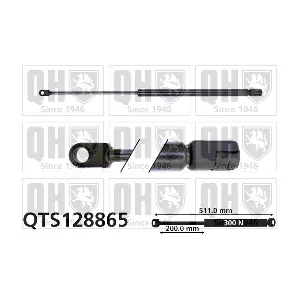 QTS128865 QUINTON HAZELL