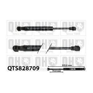 QTS828709 QUINTON HAZELL