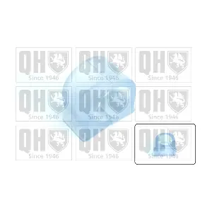 QUINTON HAZELL EMB2129