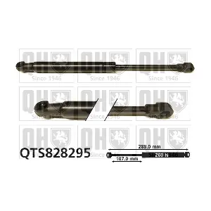 QTS828295 QUINTON HAZELL