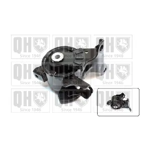 QUINTON HAZELL EM4656