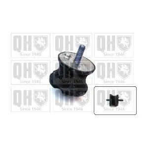 QUINTON HAZELL EM2576