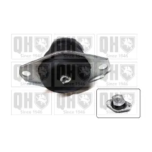 QUINTON HAZELL EM3145