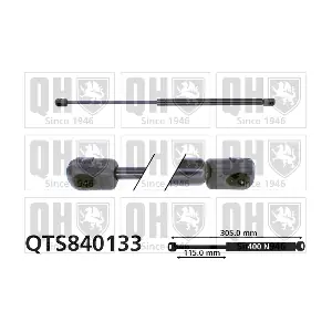 QTS840133 QUINTON HAZELL