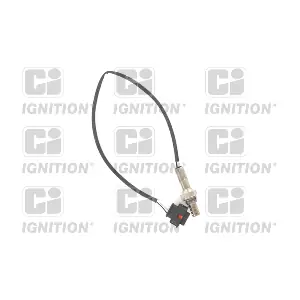 QUINTON HAZELL XLOS1182