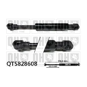 QTS828608 QUINTON HAZELL