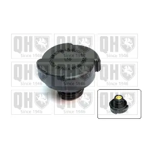 QUINTON HAZELL FC506