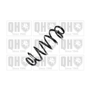 QCS6220 QUINTON HAZELL
