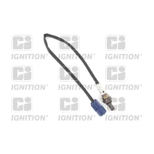 XLOS1568 QUINTON HAZELL