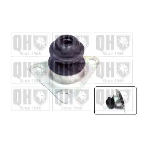 QUINTON HAZELL EM3160