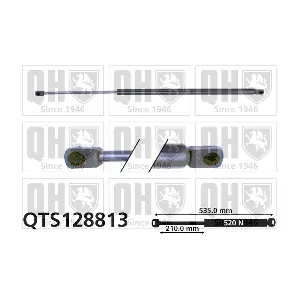 QTS128813 QUINTON HAZELL