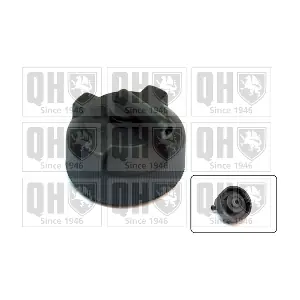 QUINTON HAZELL FC518