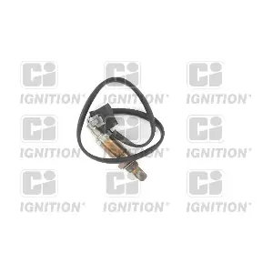 XLOS1356 QUINTON HAZELL