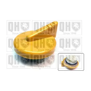 QUINTON HAZELL FC575